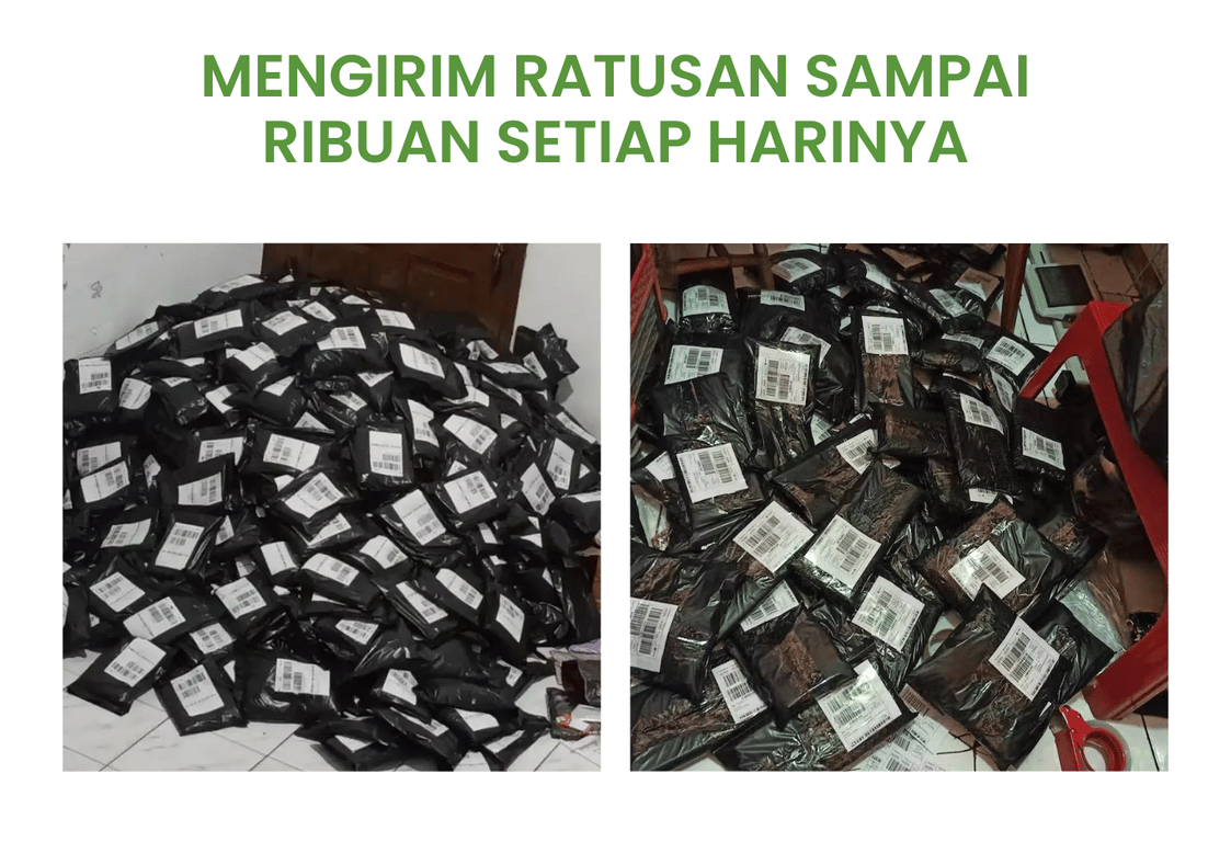 Pupuk Booster Bahagia 37